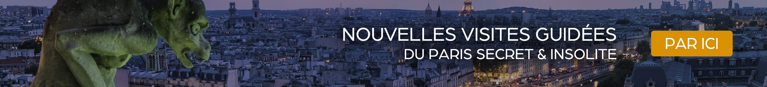 BANNIERE_VISITES_ARCANUM_MAGAZINE_DESKTOP_FINE_2.jpg