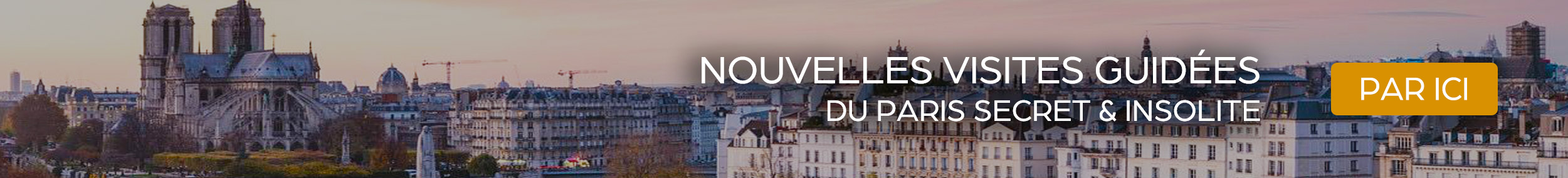 BANNIERE_VISITES_ARCANUM_MAGAZINE_DESKTOP_FINE_6.jpg