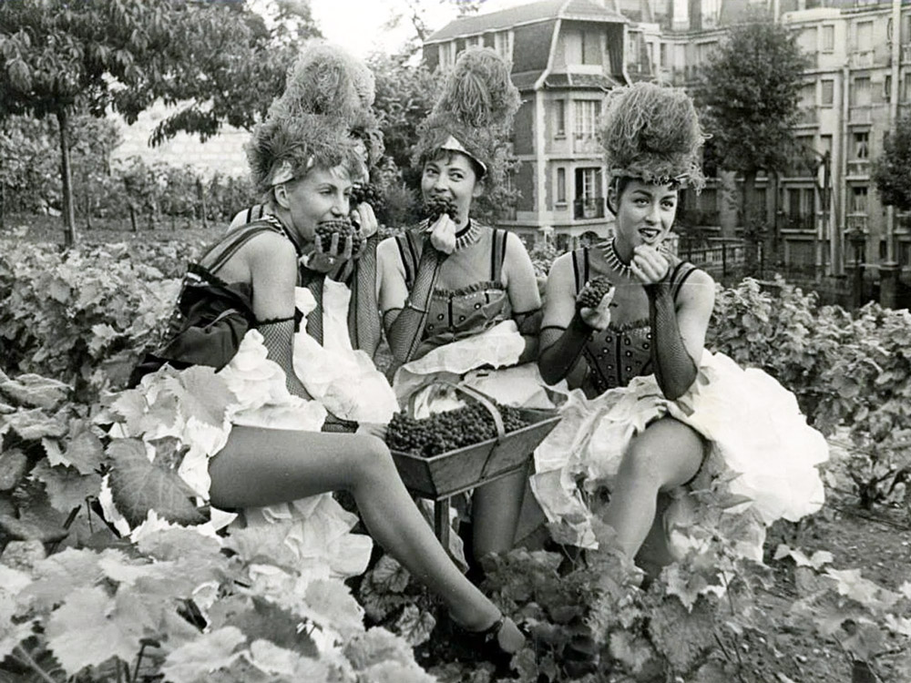 vignobles-clos-montmartre-vandanges-005.jpg