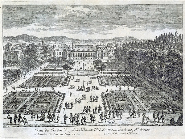 Jardin des plantes de Paris, Origine et cr&eacute;ation
