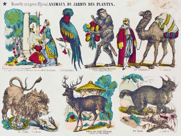 Les animaux de la m&eacute;nagerie du Jardin des Plantes repr&eacute;sent&eacute;s dans les images d'&Eacute;pinal - Gravure sur bois -  1854