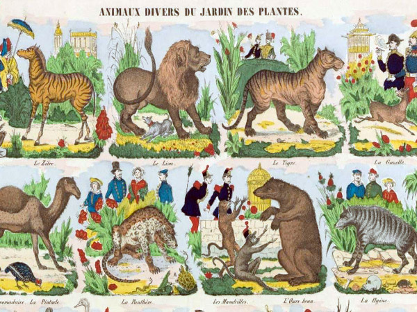 Histoire du zoo - m&eacute;nagerie du jardin des plantes de Paris