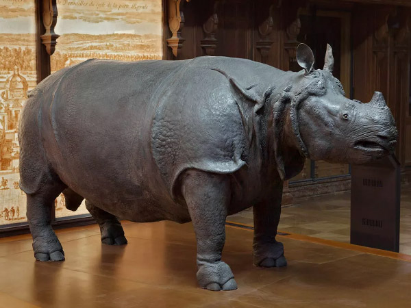 Le Rhinoc&eacute;ros de Louis XIV au Jardin des Plantes de Paris