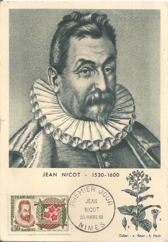 L’herbe de Jean
