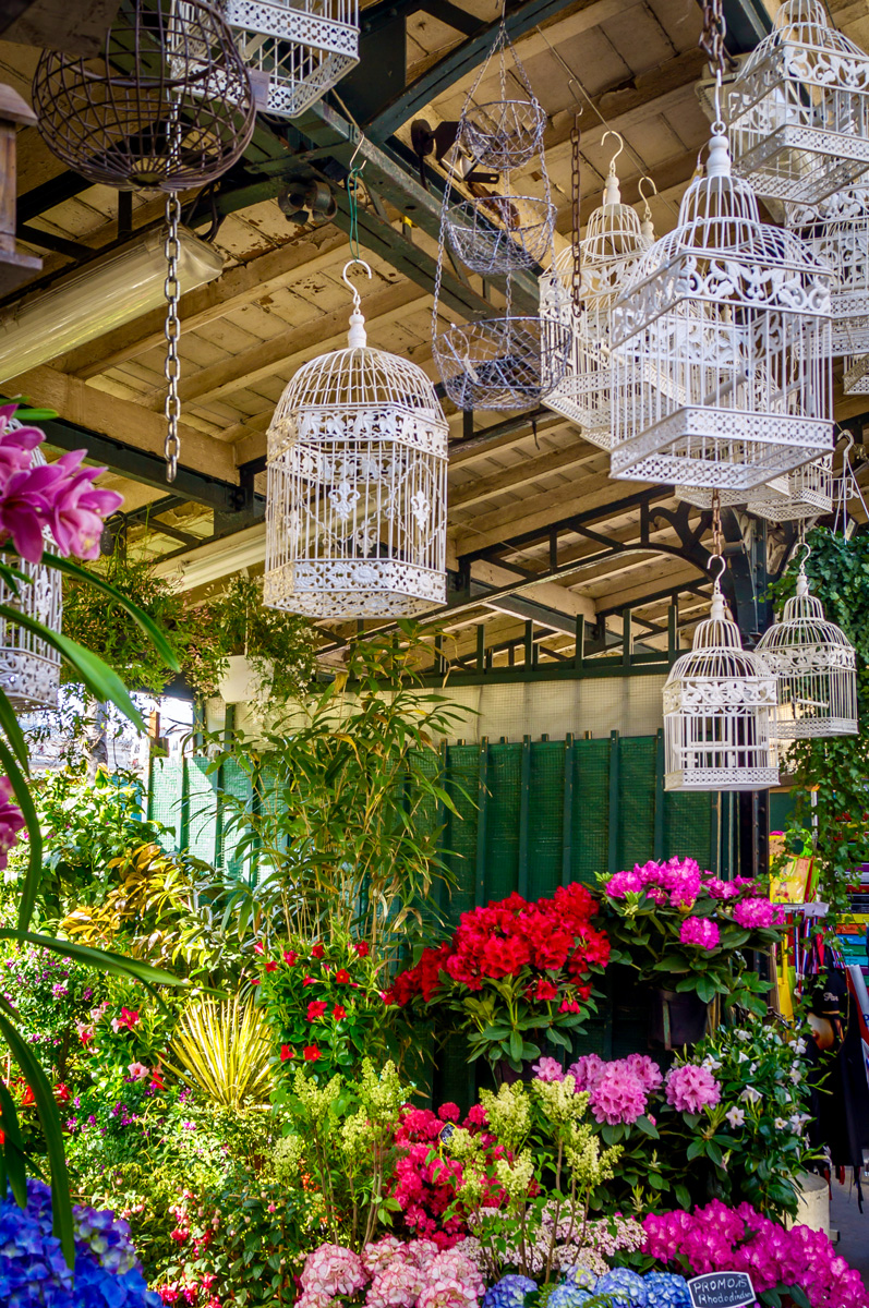 Le Marché aux Fleurs et aux Oiseaux : l'un des plus beaux marchés de Paris, un incontournable pour les balades parisiennes