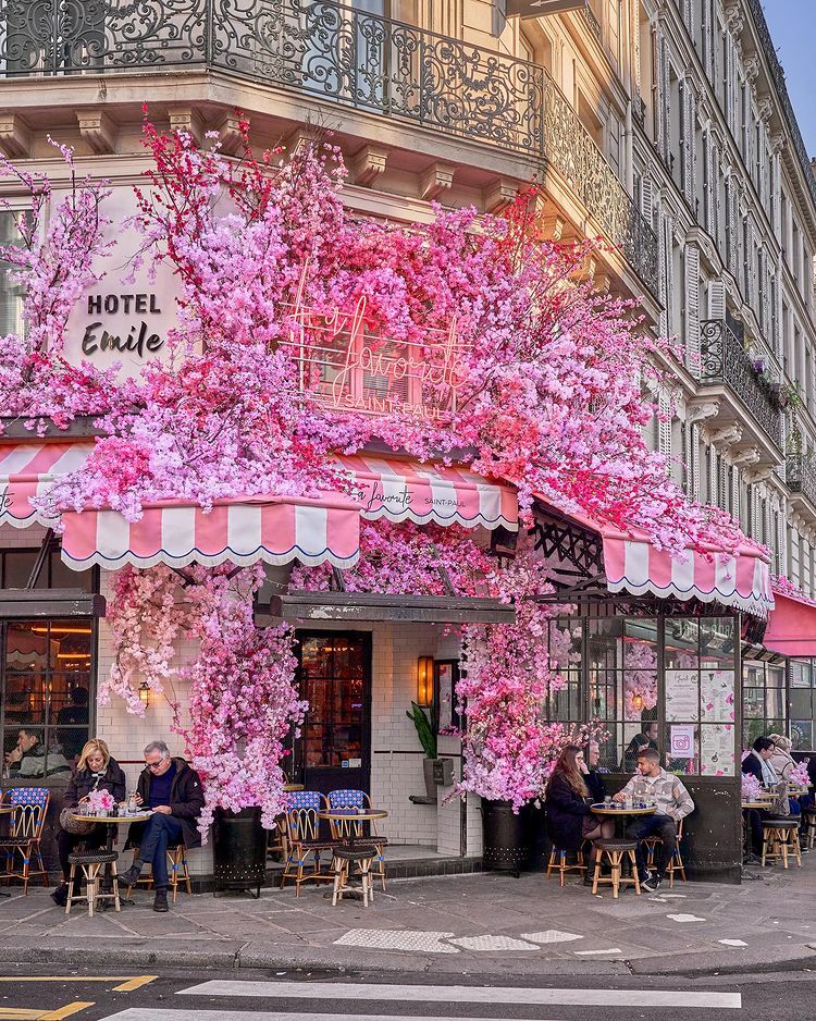 La vie en Rose